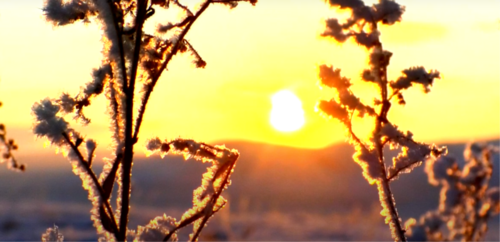 УЛААНБААТАРТ +3 ХЭМ ДУЛААН